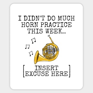 I Didn't Do Much Horn Practice, French Horn Brass Musician Sticker